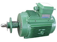 YLF2冷卻塔專用電動機